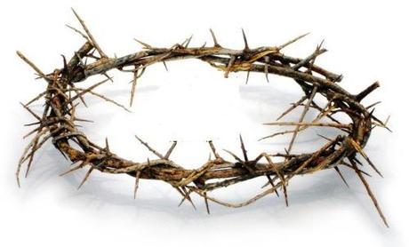 Crown-of-Thorns