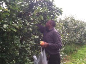 Dad picking