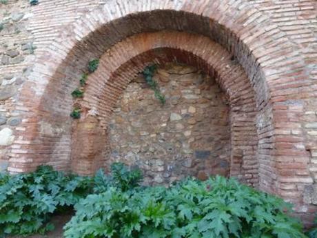 Acanthus and stray Ivy