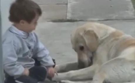 dog and Down's Sydrome boy
