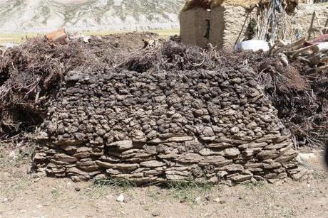 Yak and cow dung collected and dried for the very long and freezing winters, minus 20 to 40 degrees are not uncommon. 