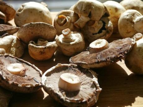 Cheap Healthy Meal - Mushroom Soup