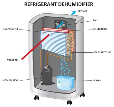 Is Your Dehumidifier Leaking Refrigerant? How to Detect and Fix It