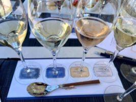 A Delicious Adventure at Domaine Carneros, a New Friend and Writing Again