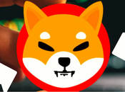 Shiba Coin Announced Plan Burn Until Reaches $0.01