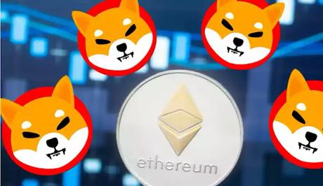 Binance Just Did With Shiba Inu Binance Just Did With Shiba Inu