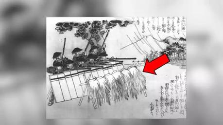 Shields made of wooden board Shields made of wooden board