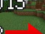 What Minecraft Steve?