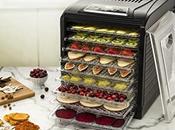 What Best Food Dehydrator 2021?