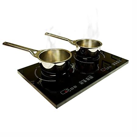 True-Induction-2-burner-cooktop