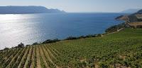 Destination Terra Madre - a Komarna and Dalmatian Winery
