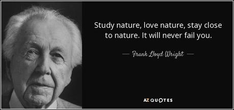 Study nature love nature stay close to nature. It will never fail you.