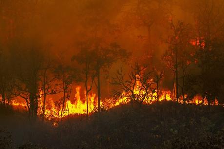Wildfires: How Likely Are They To Happen in the Future – and Where?