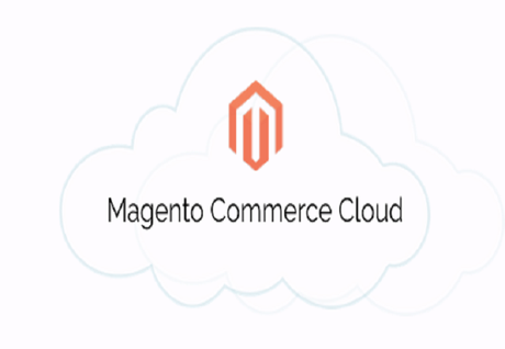 How To Use Magento Web Services | Complete Guide