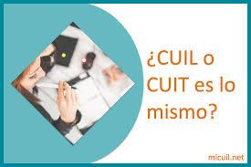 Cuil theory is a theoretical form of measurement. Cuil O Cuit Es Lo Mismo Mi Cuil