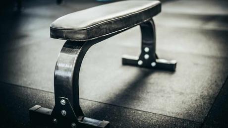 Best Rogue Weight Benches