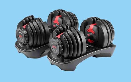 Bowflex SelectTech 552 Adjustable Dumbbells - where to buy