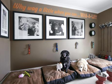 Guest blog: How to Design the Perfect Pet Nook for Your Furry Friend