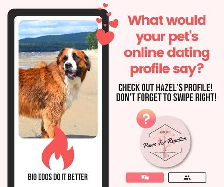 SUBMIT YOUR PET'S PHOTO: We'll create your pet's online dating profile & find the perfect match!