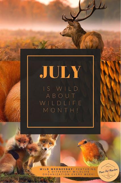 July is Wild About Wildlife Month: Featuring Aspen Valley Wildlife Sanctuary