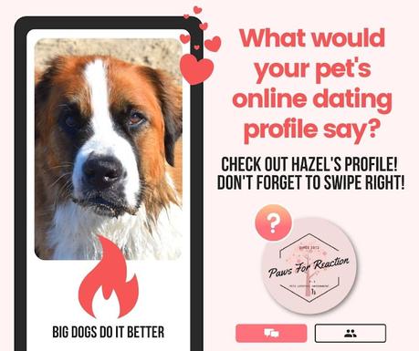 Your dog's online dating profile: What would your dog say to try to find a mate?