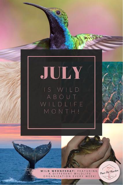 July is Wild About Wildlife Month: Wild Wednesday celebrates local wildlife conservation