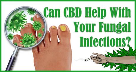 Can CBD Oil be used as an Antifungal?