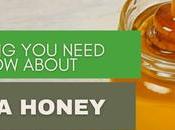 Everything Need Know About Manuka Honey