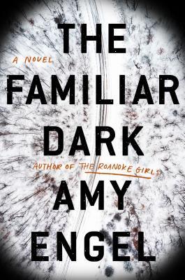 The Familiar Dark by Amy Engel- Feature and Review