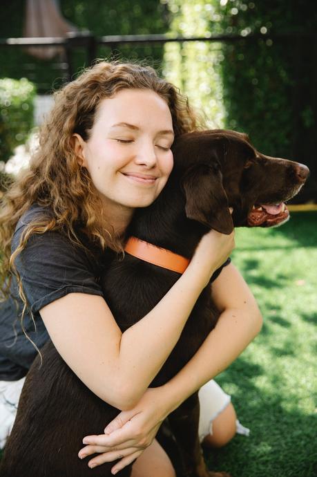 Labrador Lifespan: How Long Do Labradors Live?