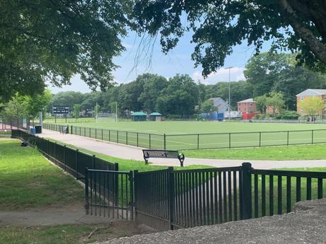 Park Spotlight: Town Field & Hunt-Almont Park | August 16, 2021