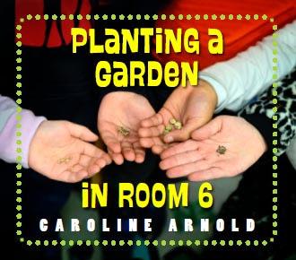 PLANTING A GARDEN IN ROOM 6--A Junior Library Guild Gold Standard Selection