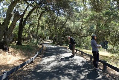 JACK LONDON STATE PARK, Glen Ellen, CA: A Literary Excursion