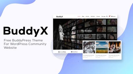 BuddyX Theme