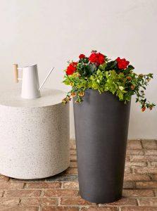 Combination of Bloomscape Pot-Plant Kit