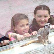 This Bank holiday weekend go to  Cornwall’s family friendly Camel Creek Family Theme Park