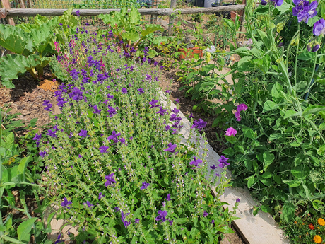 You are dealing a lot with time travel when you have an allotment.