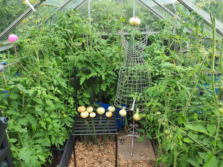 You are dealing a lot with time travel when you have an allotment.