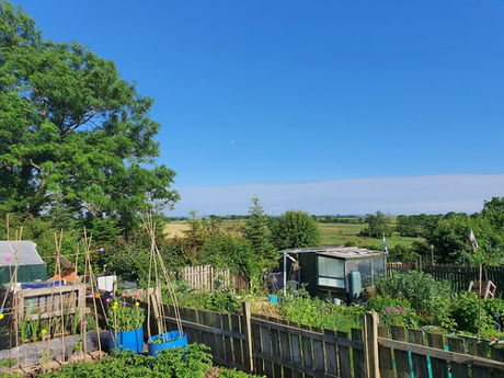 You are dealing a lot with time travel when you have an allotment.