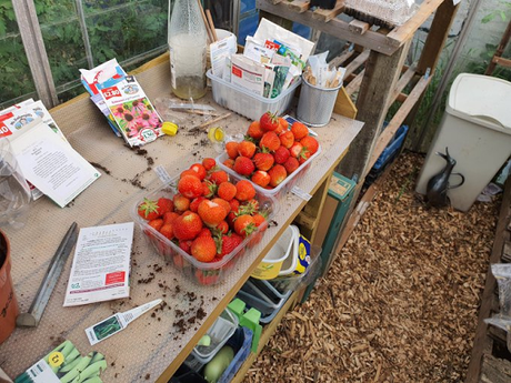 You are dealing a lot with time travel when you have an allotment.