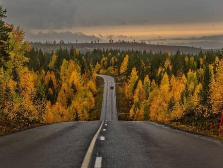 Ruska a.k.a fall foliage – part of the magnificent colors of autumn in Finland