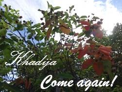 PIZZA MINCE / THIN PIZZA / PIZZA FINA / بيزا رقيقة