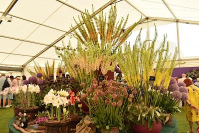 RHS Flower Show Tatton Park 2021 - A Great Day Out