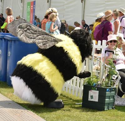 RHS Flower Show Tatton Park 2021 - A Great Day Out