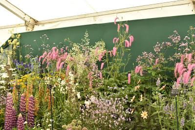 RHS Flower Show Tatton Park 2021 - A Great Day Out