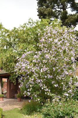 A morning enjoying the gardens at Goldstone Hall Hotel