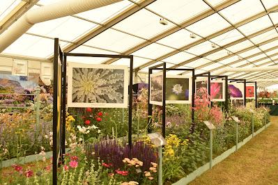 The return of the RHS Hampton Court Palace Garden Festival 2021