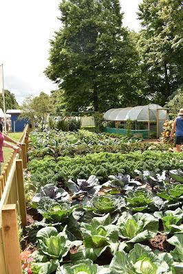 The return of the RHS Hampton Court Palace Garden Festival 2021