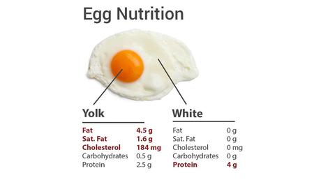 Are broiler eggs good for your health or not? (Yes!)