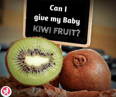 Kiwi fruit has become very popular in Indian homes nowadays but when it comes to little ones, parents ask: Can I give my Baby Kiwi Fruit?